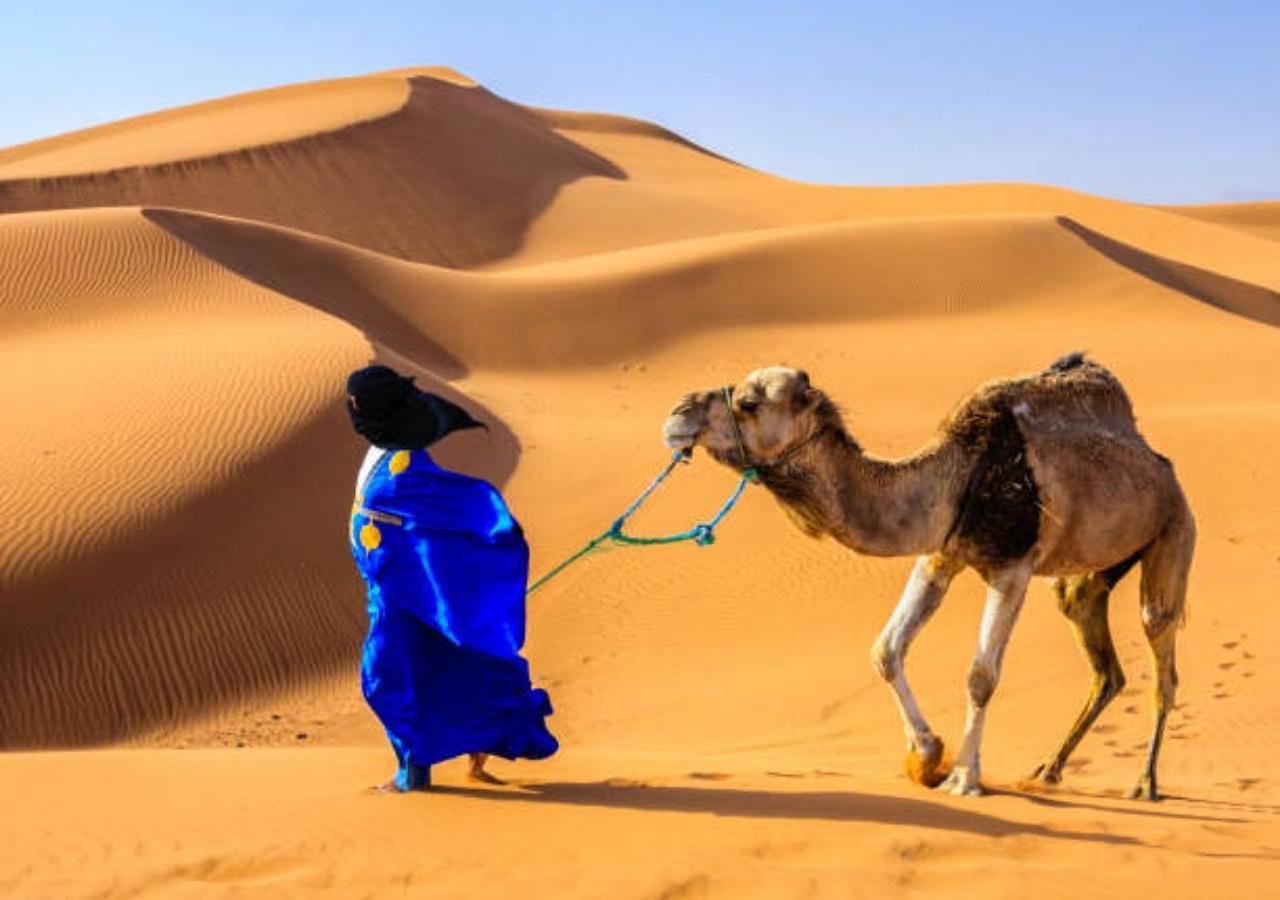 Desert Glamping Experience 梅尔祖卡 外观 照片