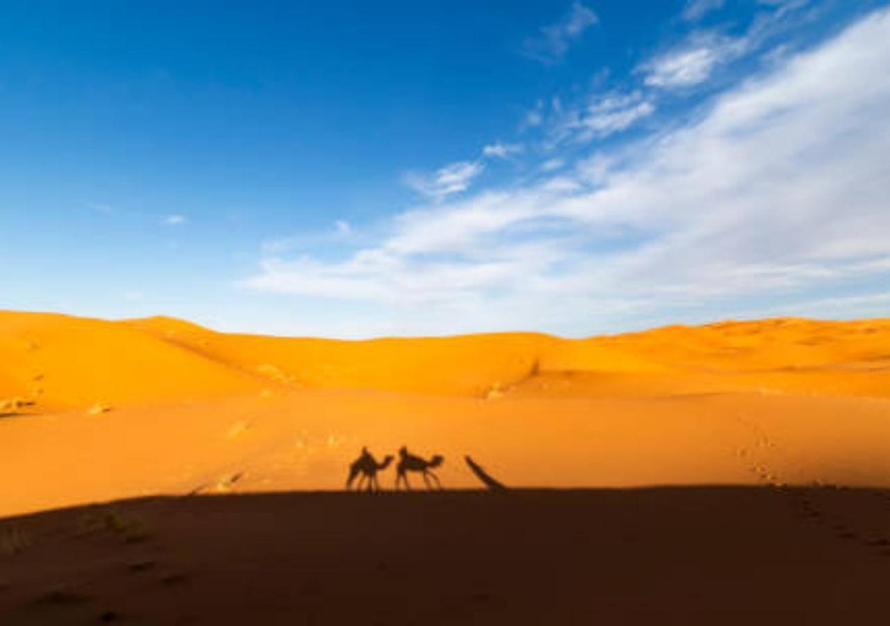 Desert Glamping Experience 梅尔祖卡 外观 照片
