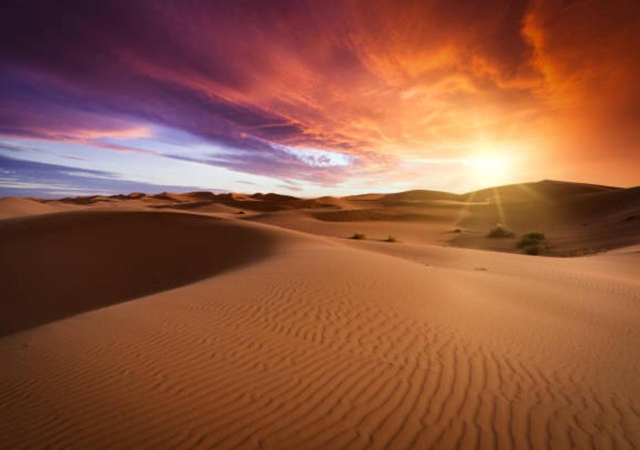 Desert Glamping Experience 梅尔祖卡 外观 照片