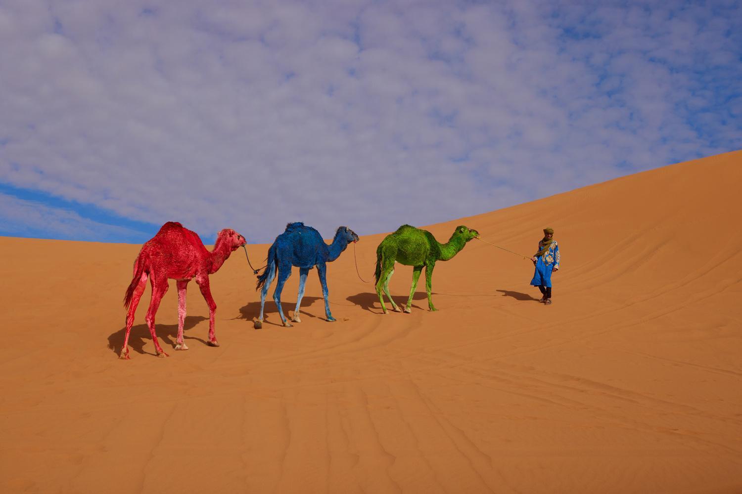 Desert Glamping Experience 梅尔祖卡 外观 照片